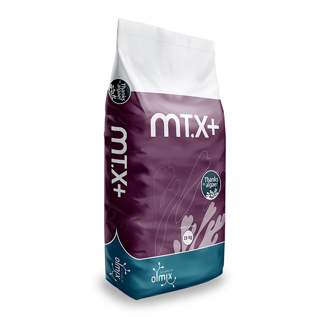 MT.X +