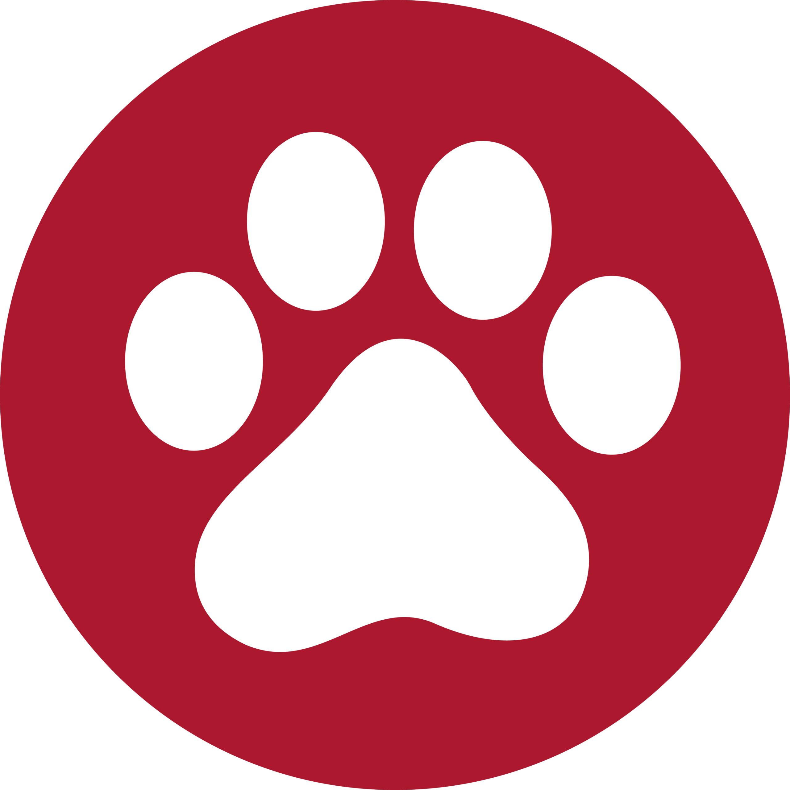 Mascotas