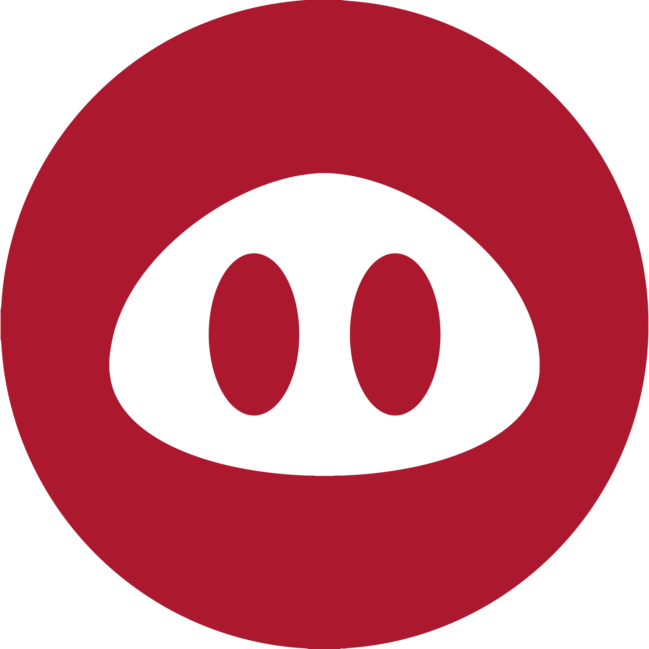 Porcinos