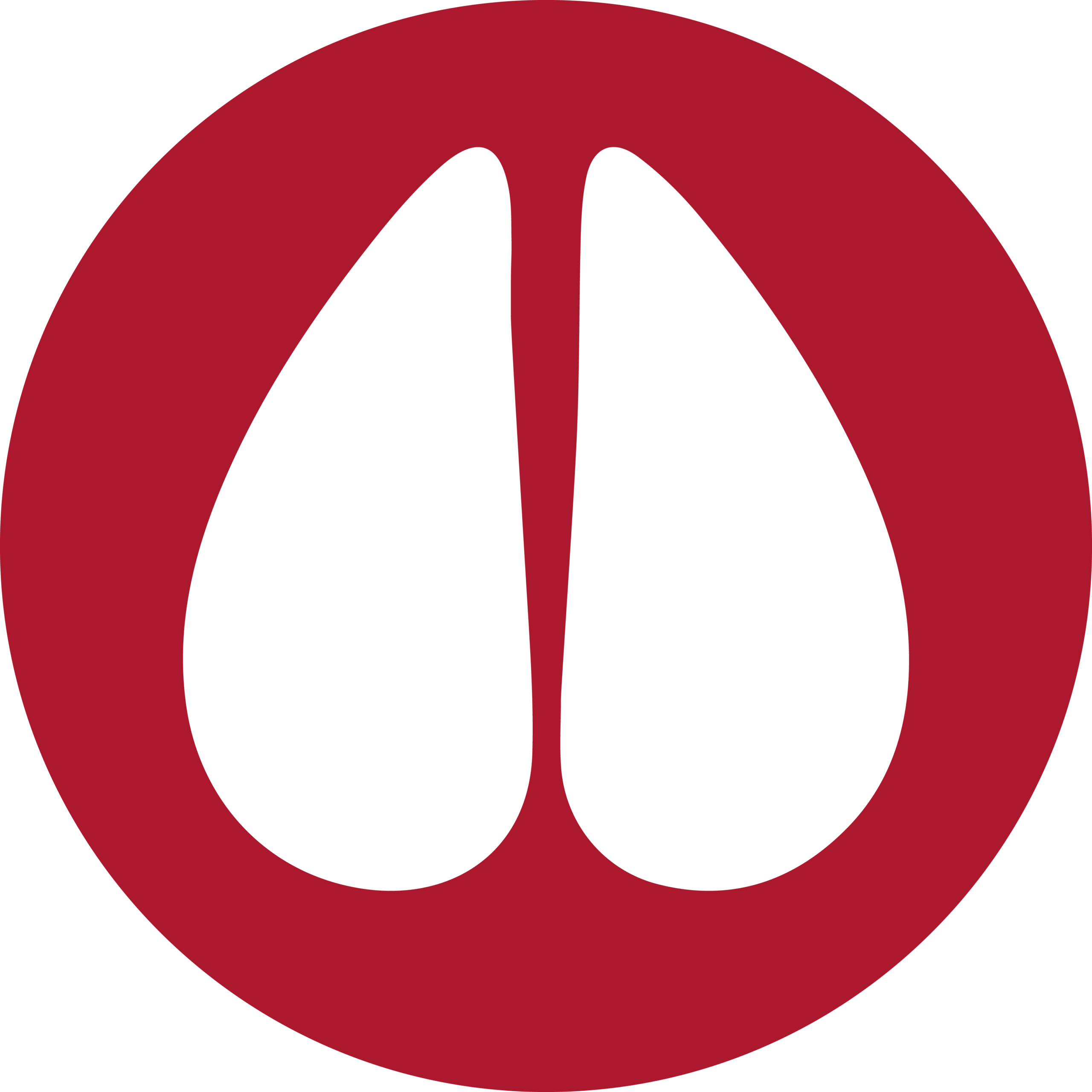 Rumiantes